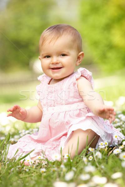 Baby Girl In Summer Dress Sitting In Field Stock photo © monkey_business
