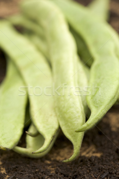 Corredor feijões grupo legumes cor fresco Foto stock © monkey_business