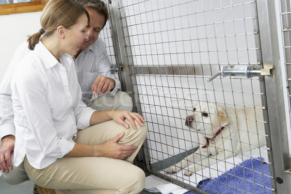 Couple Visiting Pet Dog Stock photo © monkey_business