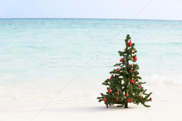 Stockfoto: Kerstboom · mooie · tropisch · strand · strand · zee · zand