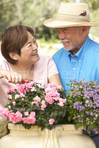 Casal de idosos jardinagem juntos casal retrato asiático Foto stock © monkey_business