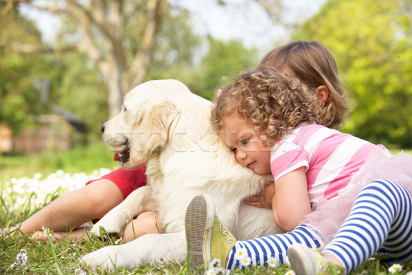 Two Children Petting Family Dog In Summer Field Stock photo © monkey_business