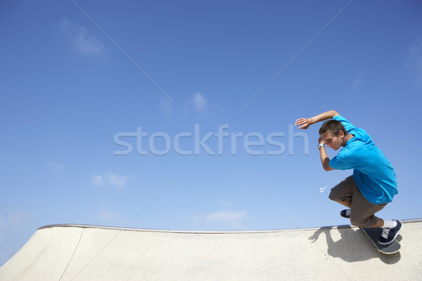十幾歲的男孩 滑板 公園 樂趣 青少年 涼爽 商業照片 © monkey_business