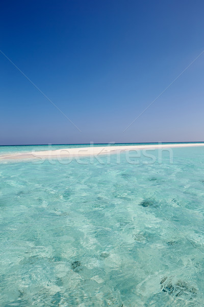 Beautiful Deserted Beach Stock photo © monkey_business