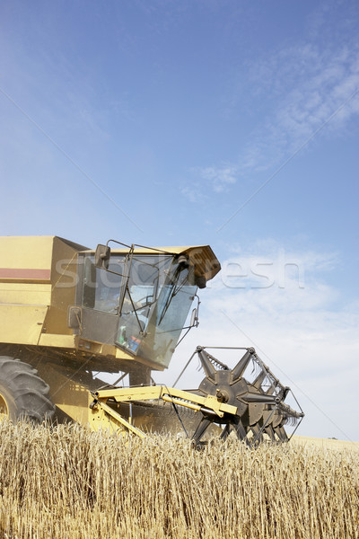 Combine Harvester Working In Field Stock photo © monkey_business