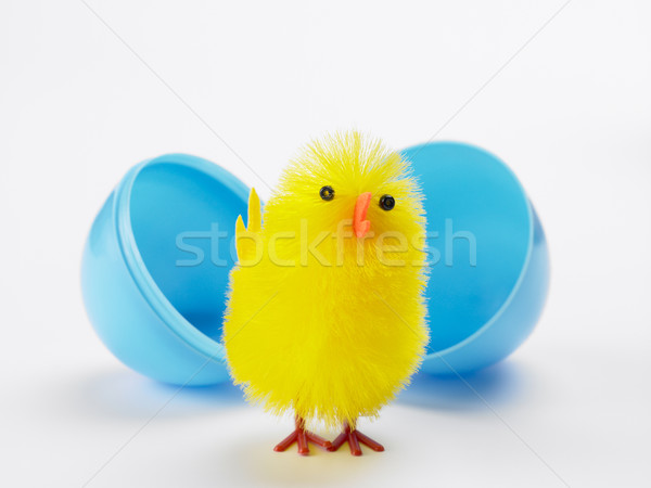 Stock photo: Easter Chick Hatching Out Of Egg