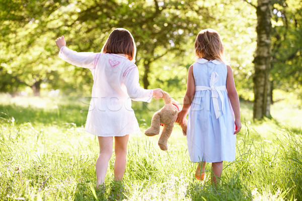 два молодые девочек ходьбе лет области Сток-фото © monkey_business