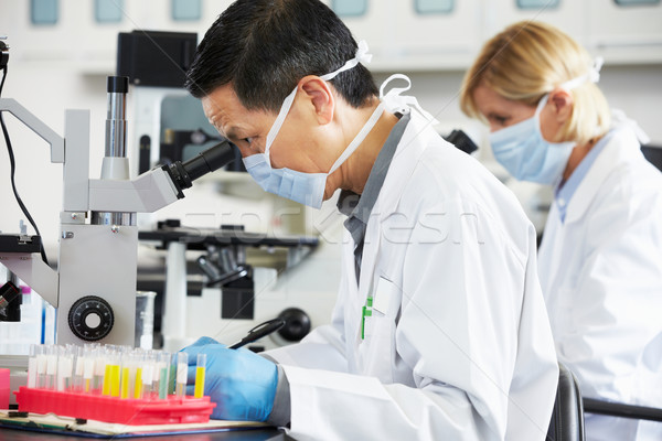 Male And Female Scientists Using Microscopes In Laboratory Stock photo © monkey_business