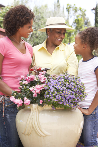 Senior Woman With Adult Daughter Gardening Together Stock photo © monkey_business