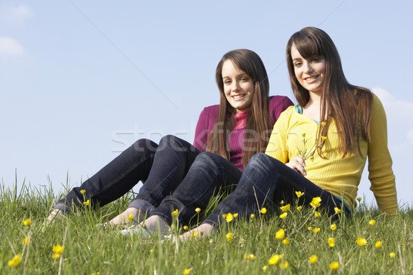 Twin ragazze adolescenti seduta estate prato donna Foto d'archivio © monkey_business