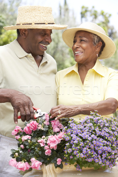 Senior Couple Gardening Together Stock photo © monkey_business