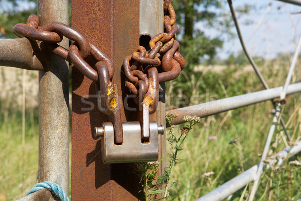 Chain and padlock Stock photo © monkey_business