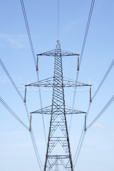 Stock photo: Electricity Pylons Against A Blue Sky