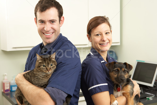 Male Veterinary Surgeon And Nurse Holding Cat And Dog In Surgery Stock photo © monkey_business