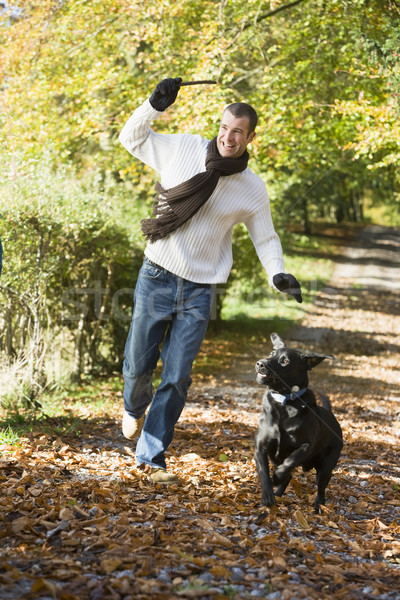 Man exercising dog in woodland Stock photo © monkey_business