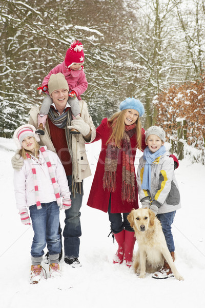 Family Walking Through Snowy Woodland Stock photo © monkey_business