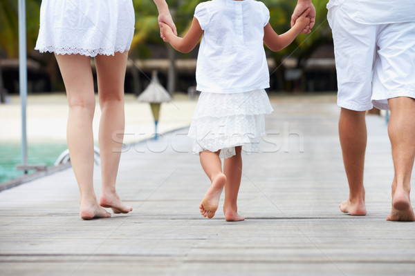 Rear View Of Family Walking On Wooden Jetty Stock photo © monkey_business