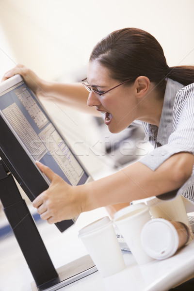 Woman in computer room grabbing her monitor and screaming Stock photo © monkey_business