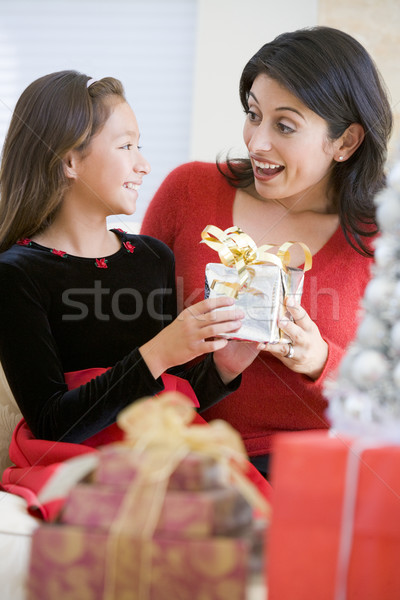 Stock foto: Mädchen · überraschend · Mutter · Weihnachten · Geschenk · Kind