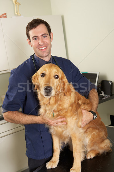 Male Veterinary Surgeon Holding Dog In Surgery Stock photo © monkey_business