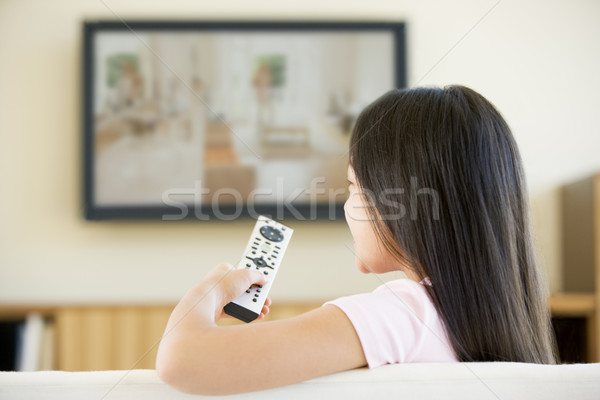 Zdjęcia stock: Młoda · dziewczyna · salon · płaski · ekran · telewizji · zdalnego · dziewczyna