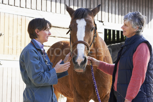 Weterynarz dyskusji konia właściciel gospodarstwa mówić Zdjęcia stock © monkey_business