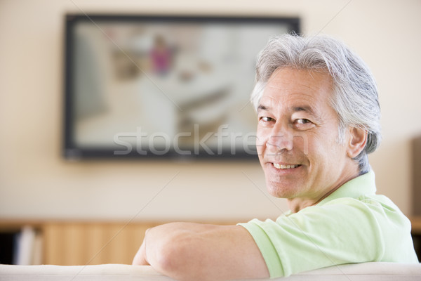 男子 看電視 微笑 技術 客廳 中國的 商業照片 © monkey_business