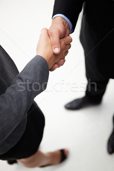 подробность бизнесмен женщину рукопожатием бизнеса рук Сток-фото © monkey_business