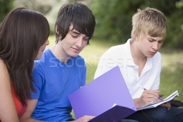 College students studying outside Stock photo © monkey_business