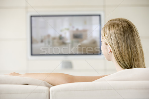 女子 客廳 看電視 微笑 肖像 女 商業照片 © monkey_business
