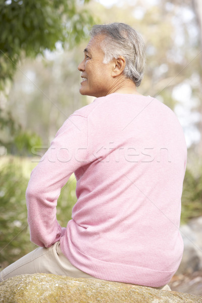 Back View Of Senior Man In Park Stock photo © monkey_business