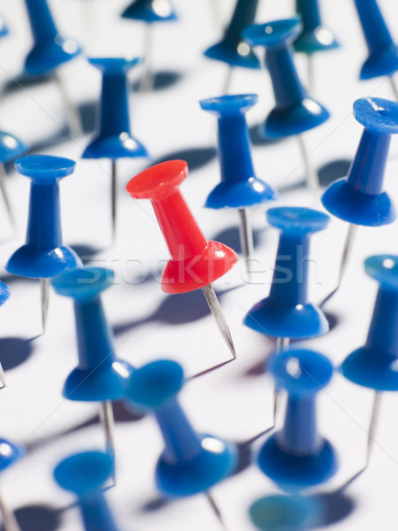 One Red Thumbtack Amid Blue Thumbtacks Stock photo © monkey_business
