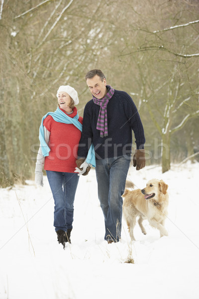Senior Couple Walking Dog Through Snowy Woodland Stock photo © monkey_business