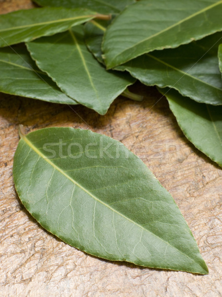 Bladeren groep kleur vers objecten Stockfoto © monkey_business