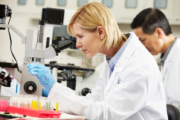 Male And Female Scientists Using Microscopes In Laboratory Stock photo © monkey_business