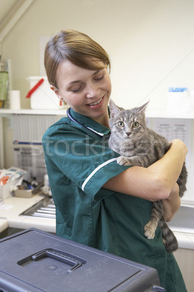 Vet Holding Cat In Surgery Stock photo © monkey_business