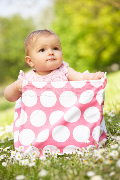 Baby Girl In Summer Dress Sitting In Bag Stock photo © monkey_business