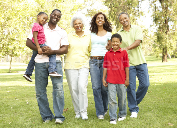 Portrait Of Extended Family Group In Park Stock photo © monkey_business