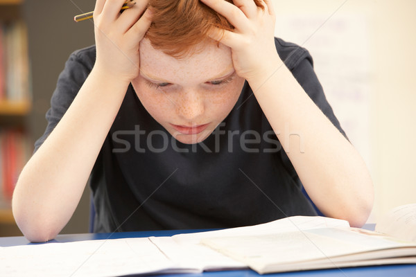 Uczeń studia klasie książki student Zdjęcia stock © monkey_business