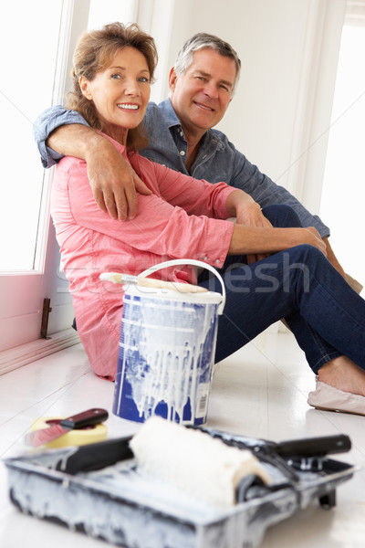 Senior couple decorating house Stock photo © monkey_business