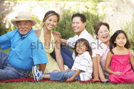 Többgenerációs család szabadtér barbeque lány férfi nők Stock fotó © monkey_business
