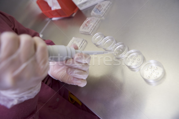 Laborator femeie cercetare culoare cultură clinică Imagine de stoc © monkey_business