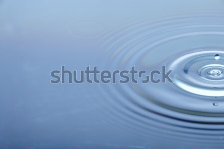 Koncentrikus körök víz természet energia hullám Stock fotó © monkey_business