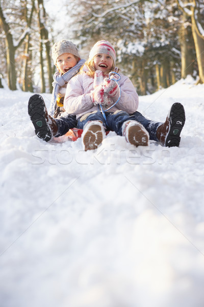 Boy And Girl Sledging Through Snowy Woodland Stock photo © monkey_business