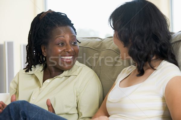 [[stock_photo]]: Deux · femmes · parler · salon · souriant · femme · amis