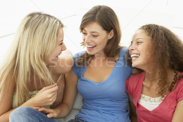 Feminino amigos risonho juntos mulheres falante Foto stock © monkey_business
