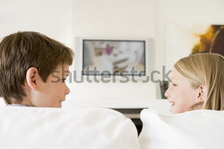 Сток-фото: пару · гостиной · Смотря · телевизор · улыбаясь · женщину · человека