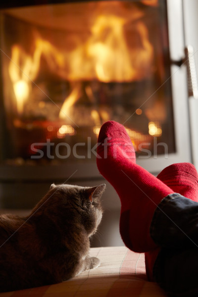 Close Up Of Mans Feet Relaxing By Cosy Log Fire With Cat Stock photo © monkey_business