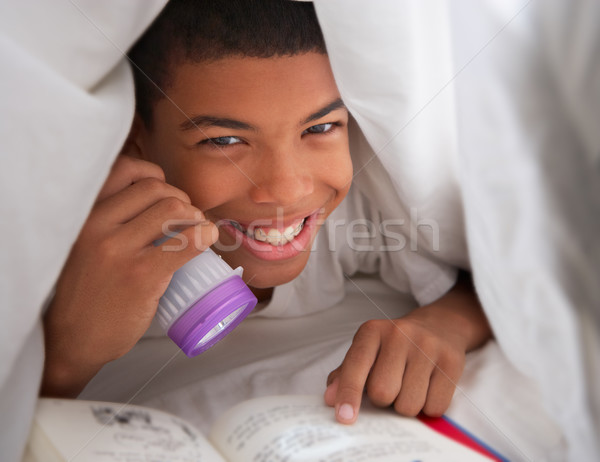 Boy Reading Book With Torch Under Duvet Stock photo © monkey_business