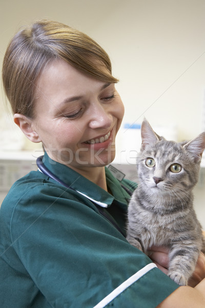 Tierarzt halten Katze Chirurgie Lächeln weiblichen Stock foto © monkey_business